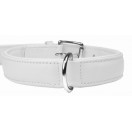Plain Padded  Leather Dog Collar Chrome fittings