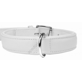 Plain Padded  Leather Dog Collar Chrome fittings